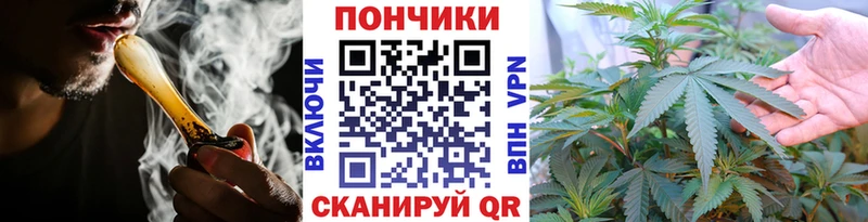 Бошки марихуана сатива  Судак 